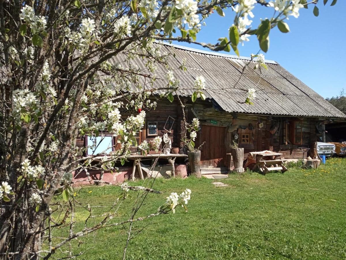 Zabrodje - Village Museum Zabrodye Стая снимка