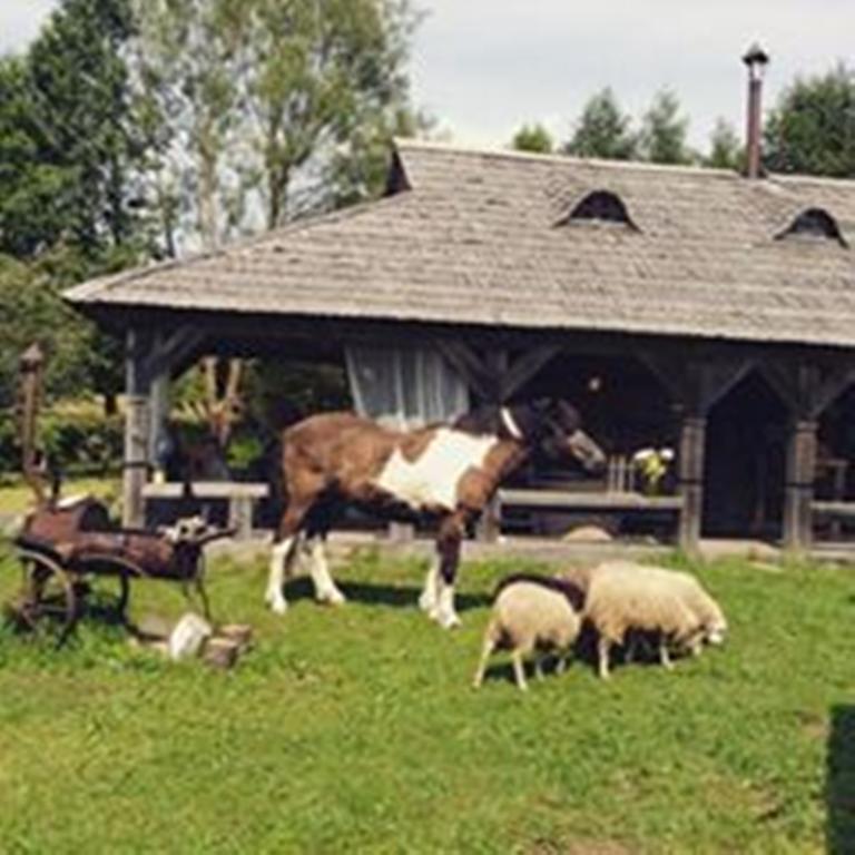 Zabrodje - Village Museum Zabrodye Екстериор снимка