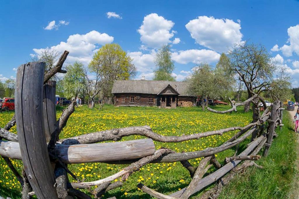 Zabrodje - Village Museum Zabrodye Екстериор снимка