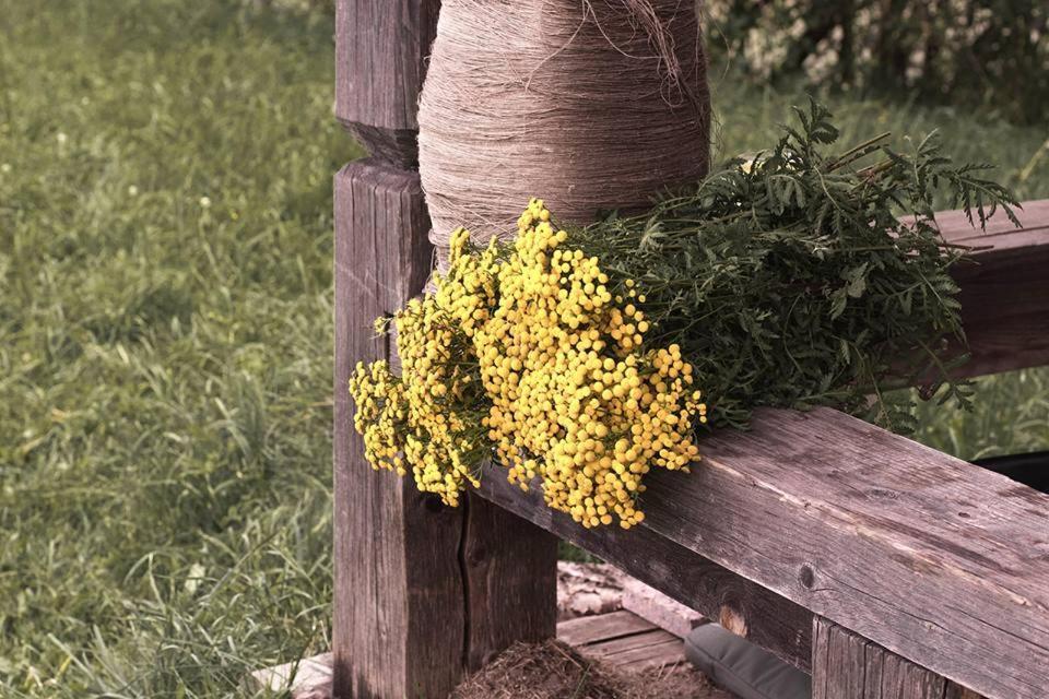 Zabrodje - Village Museum Zabrodye Екстериор снимка