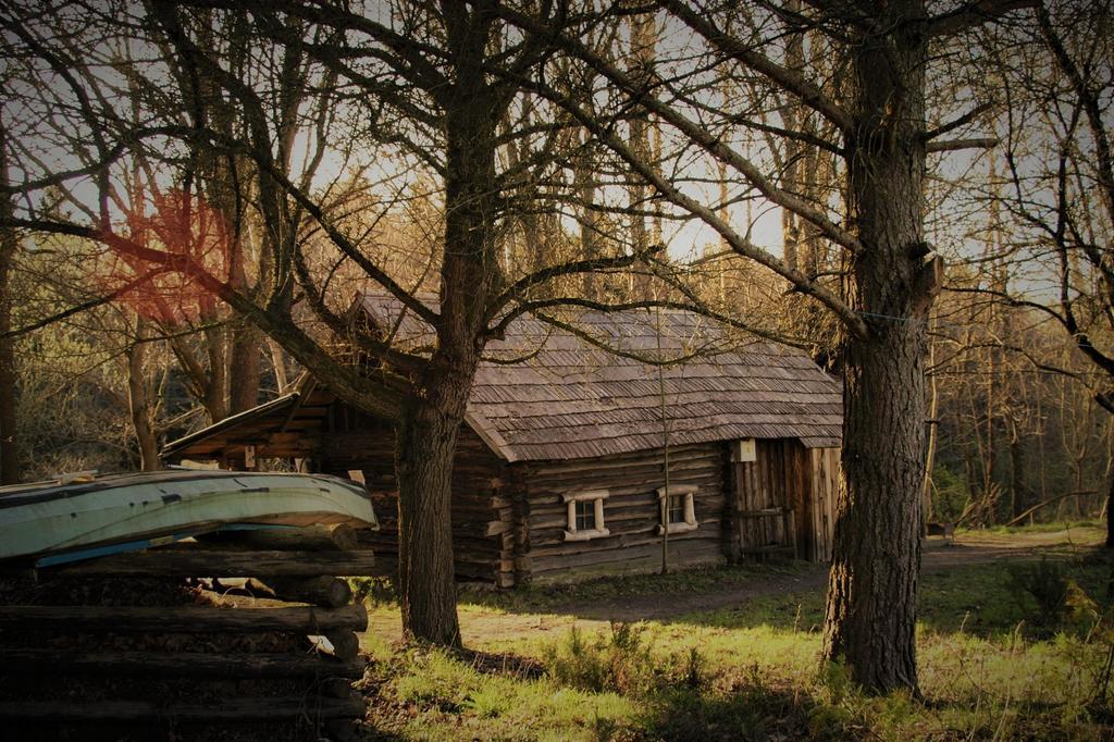 Zabrodje - Village Museum Zabrodye Екстериор снимка