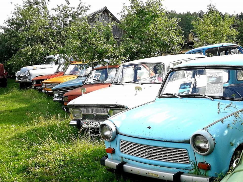 Zabrodje - Village Museum Zabrodye Екстериор снимка