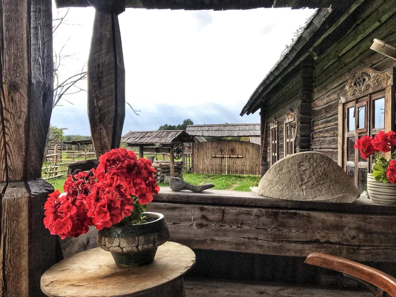 Zabrodje - Village Museum Zabrodye Екстериор снимка
